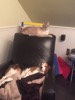 resIMG_20160202_143359_2902.JPG